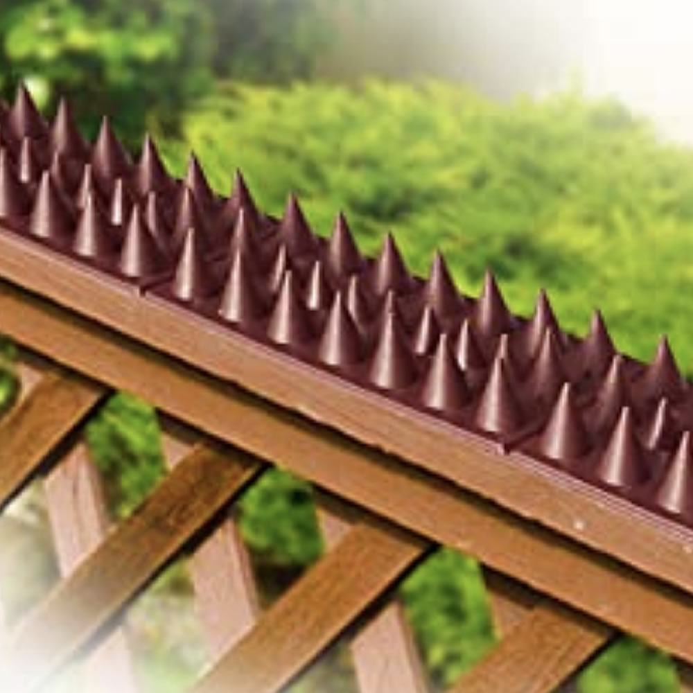 Bird Deterrent Spikes| Pest Control Spikes | Spike Pest Control (per 50cm strip): image 7
