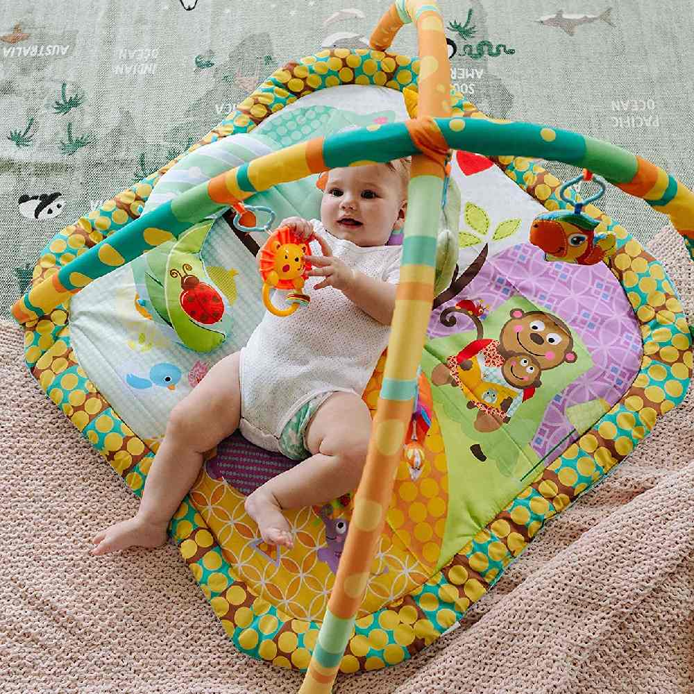 Baby Play Gym